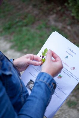 ATELIERS : SOPHRO DÉGUSTATION ET BALADE SOPHRO LE SAMEDI 18 MAI