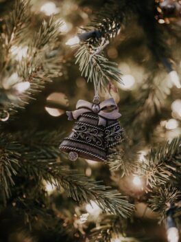 COLLECTE DE SAPINS