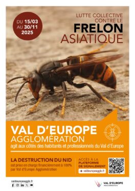 LUTTE CONTRE LES FRELONS ASIATIQUES