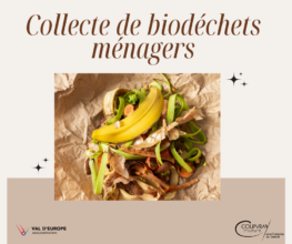 COLLECTE DES BIODÉCHETS MÉNAGERS
