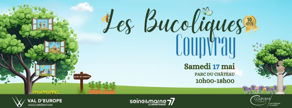 BANDEAUX (17)