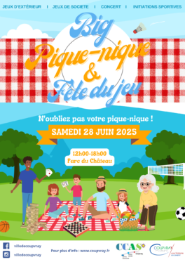 BIG PIQUE NIQUE ET FÊTE DU JEU