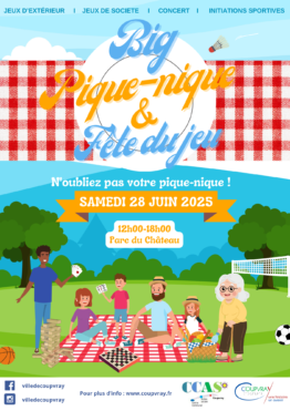 BIG PIQUE NIQUE ET FÊTE DU JEU