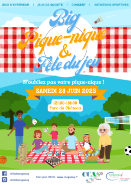 BIG PIQUE NIQUE ET FÊTE DU JEU