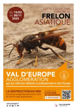 VAL D'EUROPE AGGLOMÉRATION CONTINUE LA PRISE EN CHARGE DE LA DESTRUCTION DES NIDS DE FRELONS ASIATIQUES