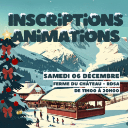 INSCRIPTIONS ANIMATIONS MARCHE  DE NOËL
