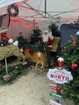 RETOUR EN IMAGES SUR LE MARCHE DE NOEL