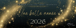 BONNE ANNEE 2026