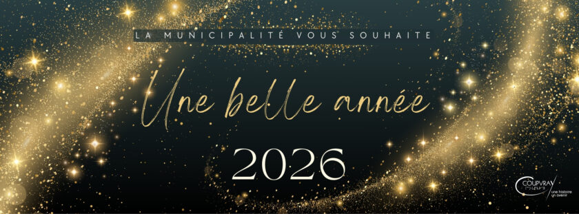Bannière Web Noel Joyeuses Fetes Moderne Rouge (4)