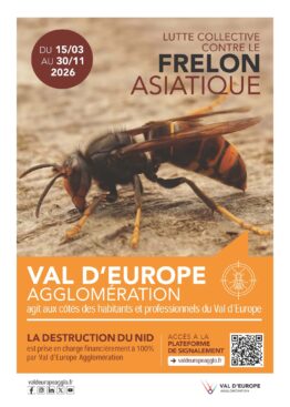 VAL D’EUROPE AGGLOMÉRATION SE MOBILISE POUR LUTTER CONTRE LE FRELON ASIATIQUE