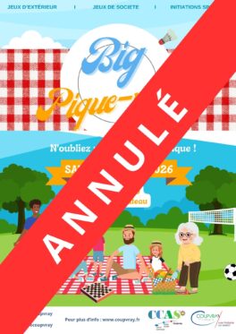ANNULATION BIG PIQUE-NIQUE ET FÊTE DU JEU