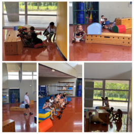 RETOUR EN IMAGES SUR L'ACTIVITE LASER GAME AU GS1